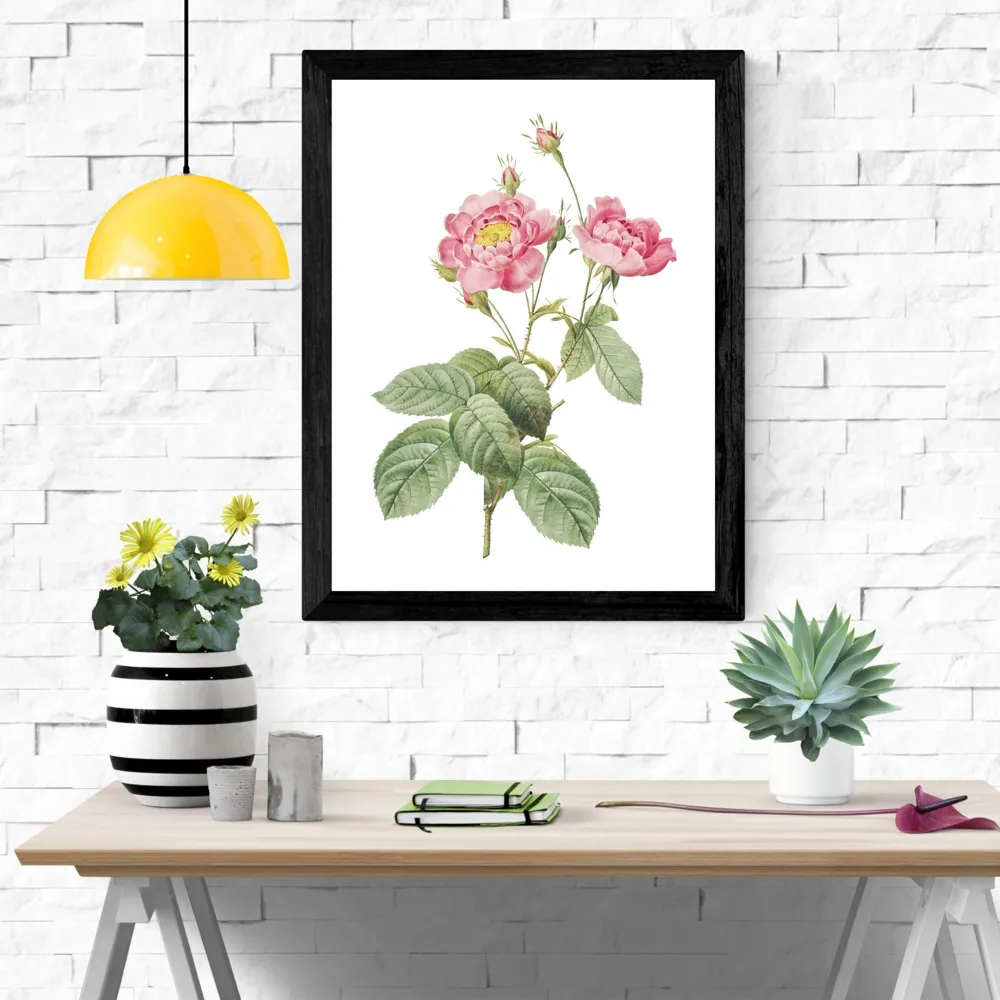 Pink Rose Botanic Wall Art Print, Floral Home Decor (Digital Download)